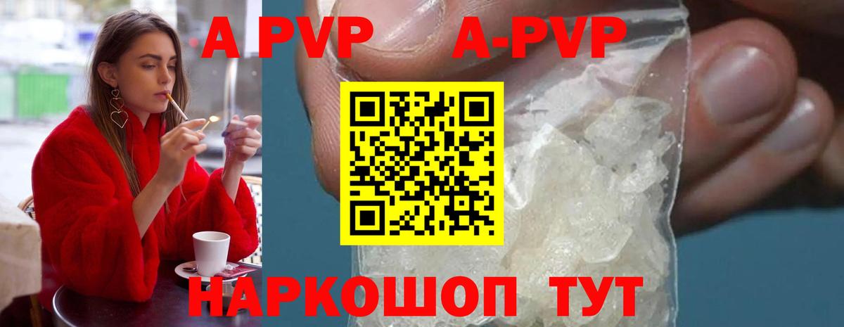 Alfa_PVP СК КРИС Кореновск