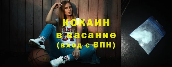 гидра Кулебаки
