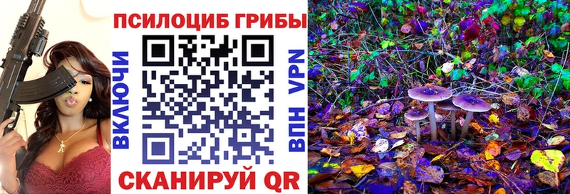купить наркотики цена Кореновск мориарти какой сайт Галлюциногенные грибы Psilocybe