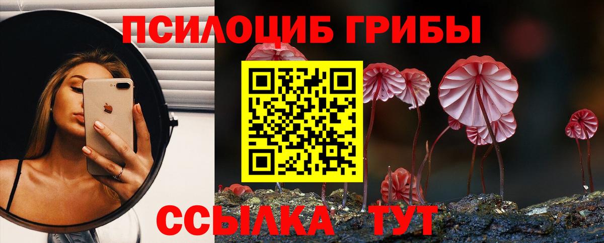Кореновск  Псилоцибиновые грибы MAGIC MUSHROOMS  Вход с VPN 